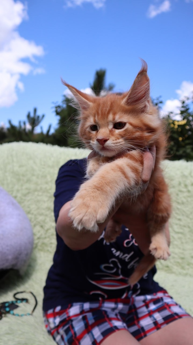 Усама 3,5 месяца