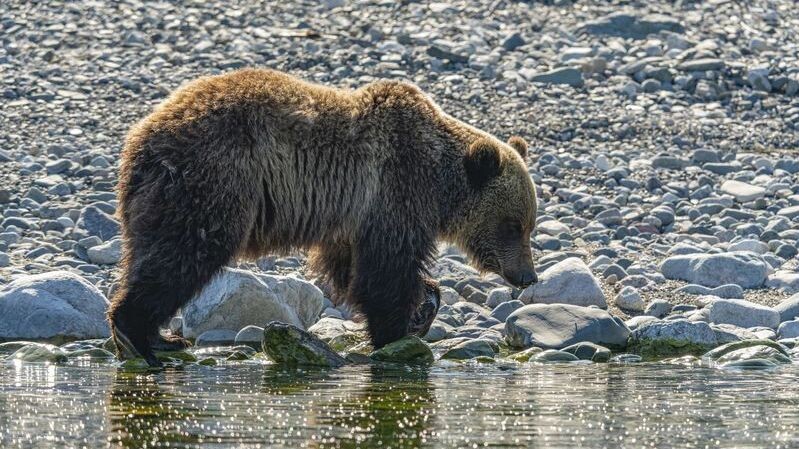    Фото: Ruslan Gubaidullin/Shutterstock/Fotodom