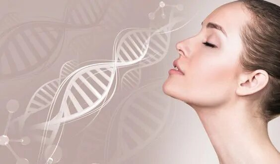 Коллаген для кожи: польза и свойства