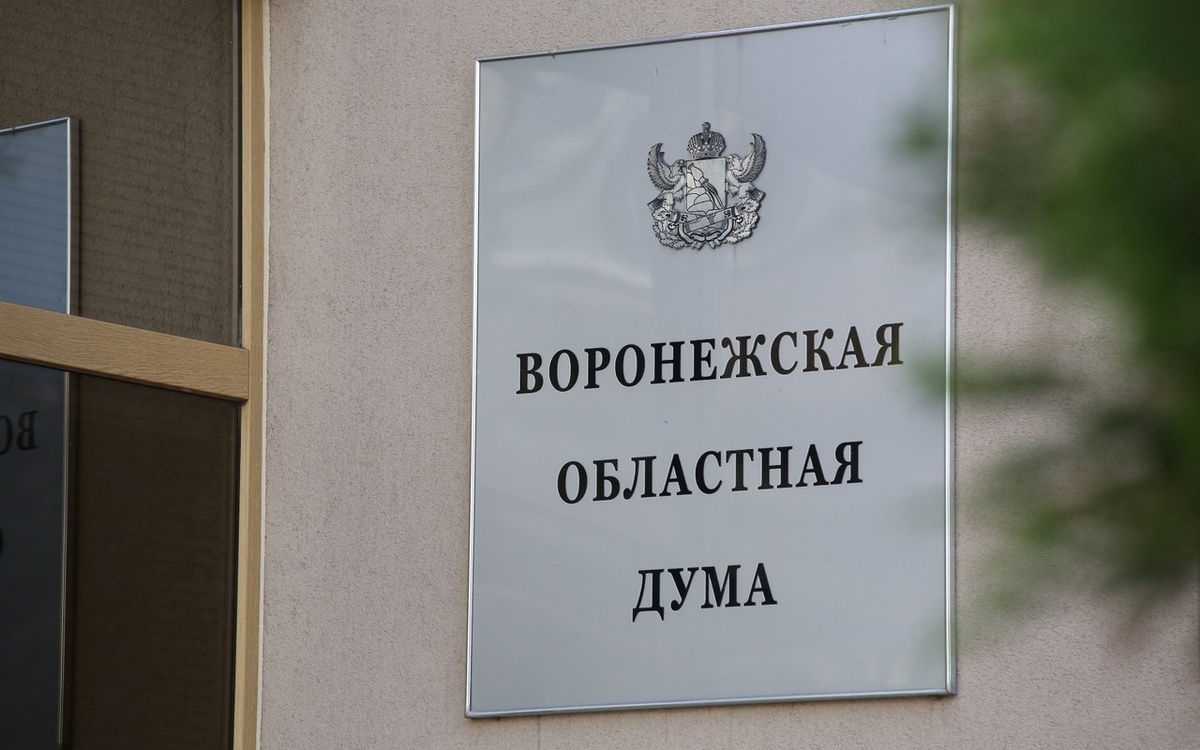    Воронежские партии задекларировали сотни миллионов: «Единая Россия» возглавила рейтинг с 352 млн рублей Фото с сайта Воронежской областной Думы