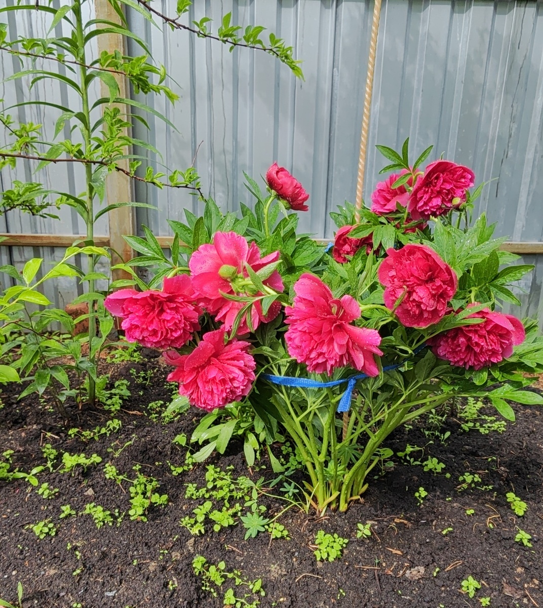 Фото канала "Вечный выходной"