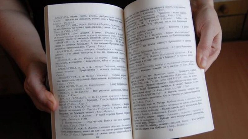     Словарь. Анна Зайкова