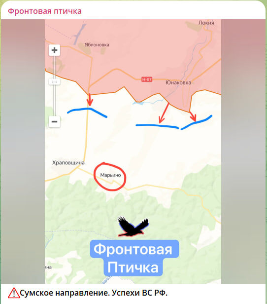    Скриншот с канала "Фронтовая Птичка"