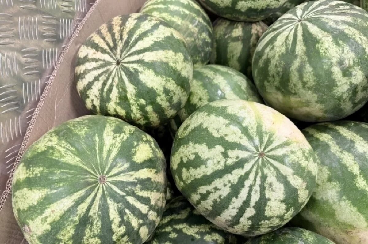    На Алтай не пропустили 120 тонн иностранных арбузов и фруктов