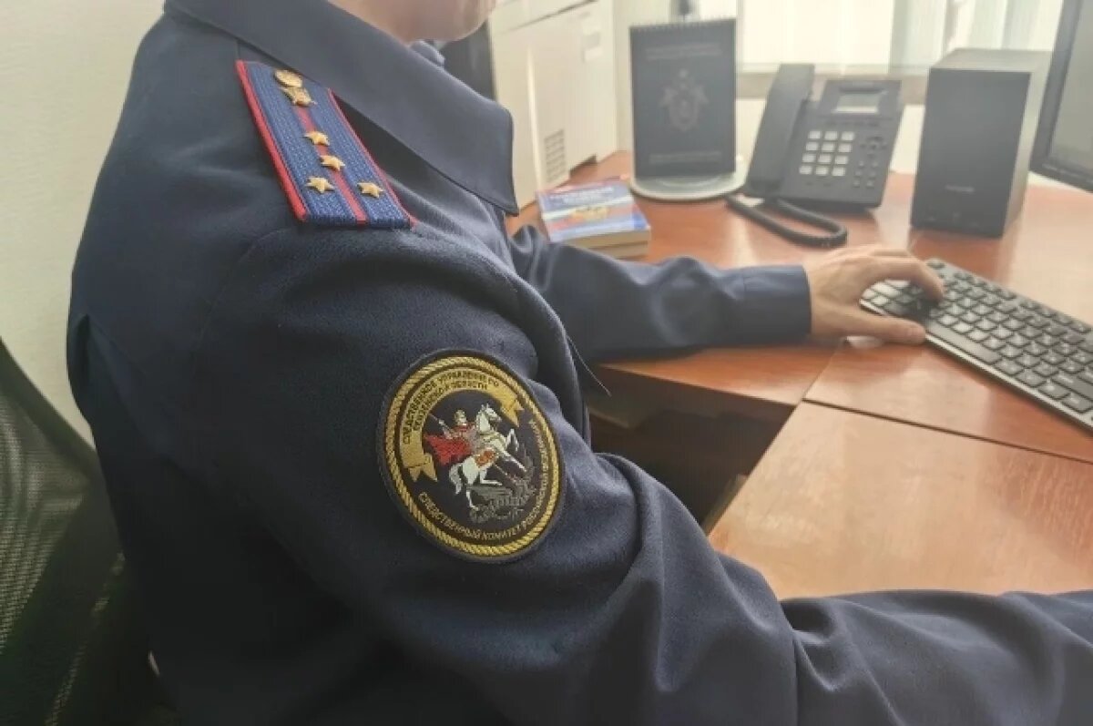    Бастрыкин затребовал доклад по информации о нарушении прав семей в Пензе