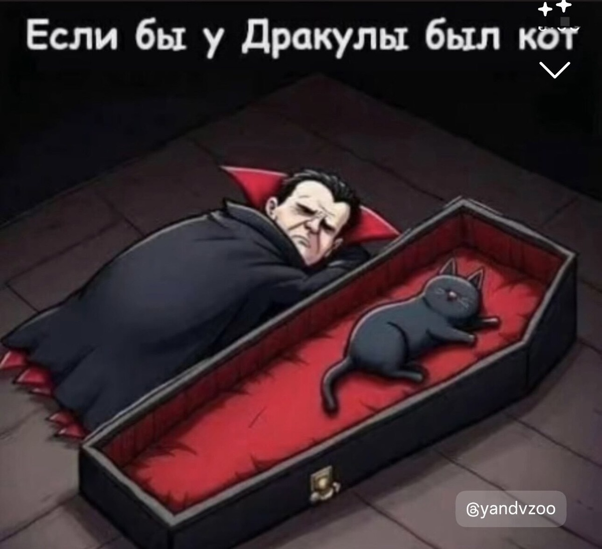 У Дракулы мог быть замок, слуги и бессмертие, но всё равно даже ему пришлось бы спать на полу — потому что если у тебя есть кот, кровать больше не твоя!
Кошачье правило: сначала выбираю место я, а хозяин пусть выкручивается как хочет!