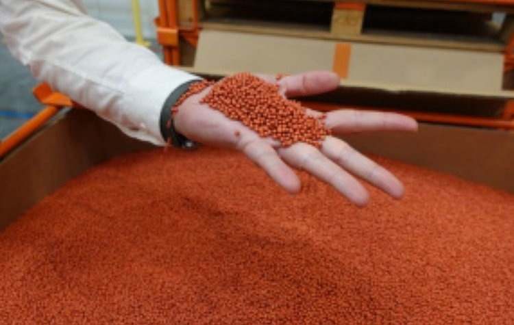    Фото: Правительство Липецкой области