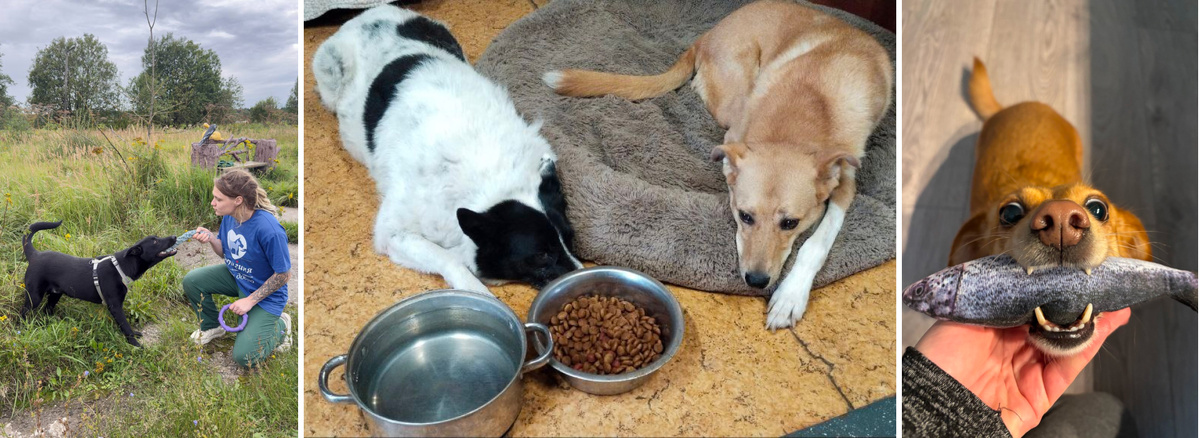 #берегиня_Мартин #берегиня_Шельма #берегиня_Дарт #выпускники_берегини Шерри