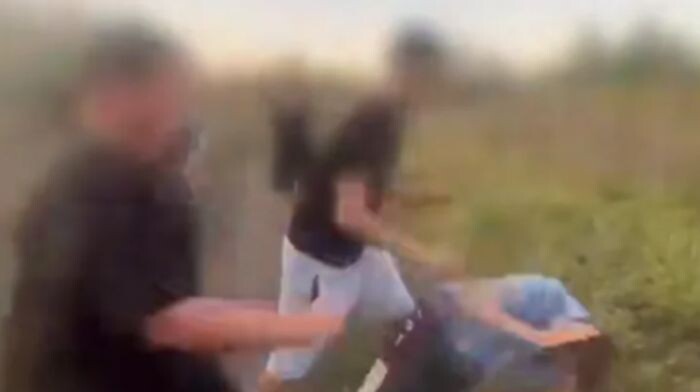 Иллюстрация: скриншот видео