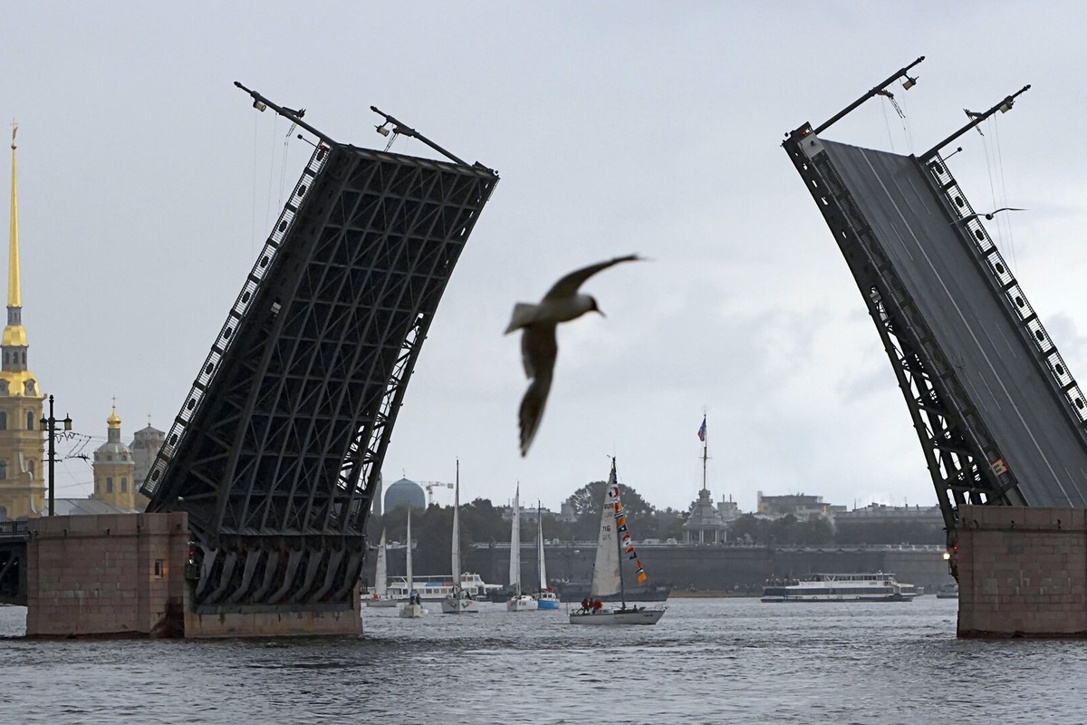    Фото: Алексей Даничев, источник: ria.ru