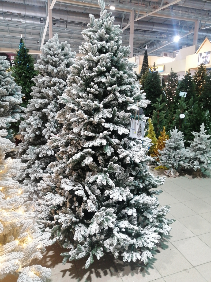 Такие елки на новогоднем базаре. 