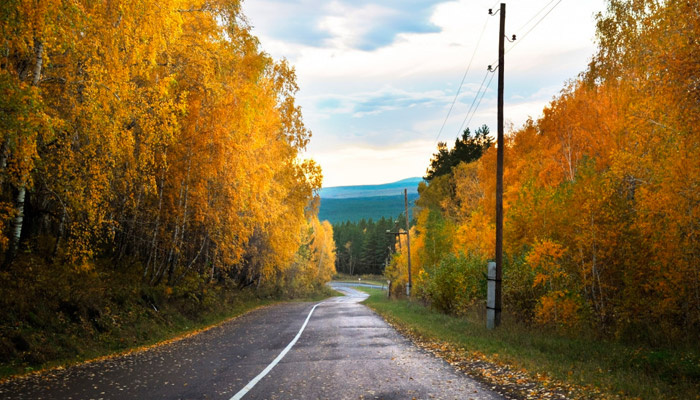 10 сентября в старину отмечали день Анны и Саввы Скирдников. Завершалась жатва, начинались ярмарки. Фото: pxhere.com