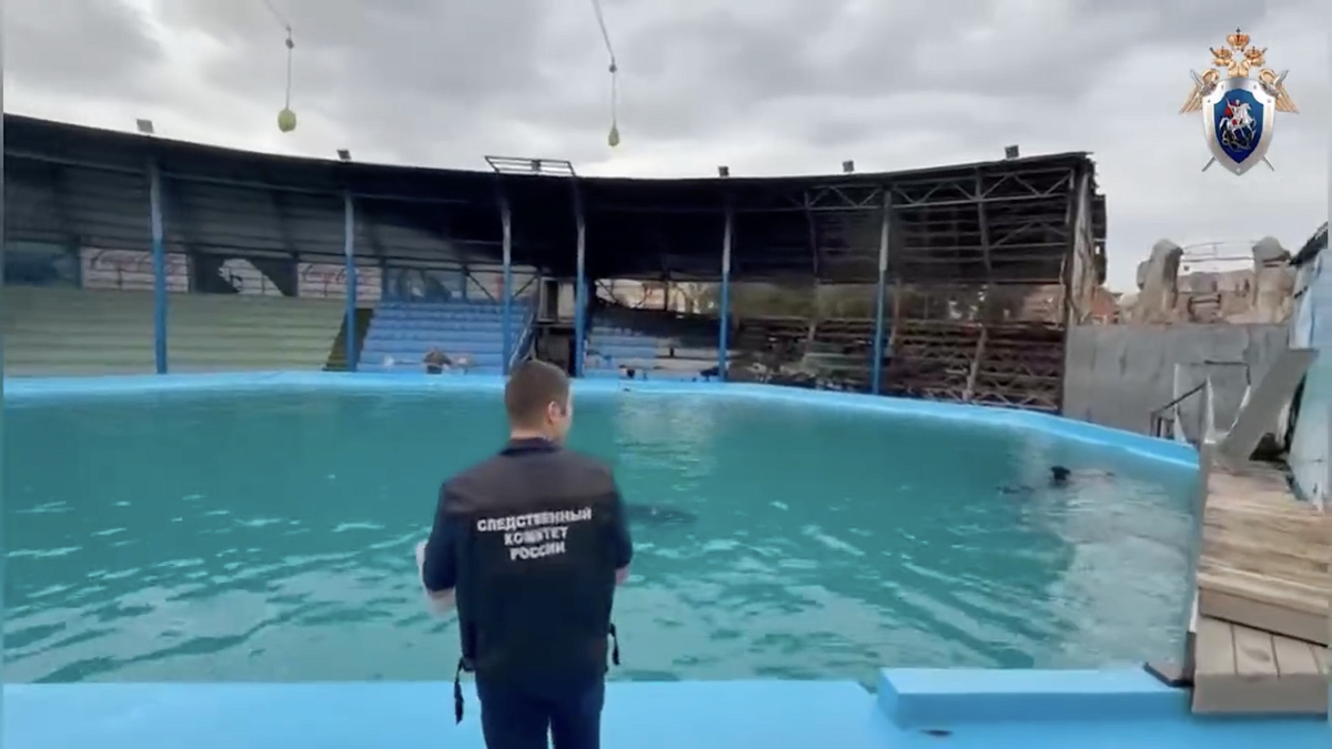    Фото: пресс-служба СУ СКР по Краснодарскому краю