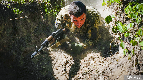     Фото: AP/TASS   
 Текст: Елизавета Шишкова