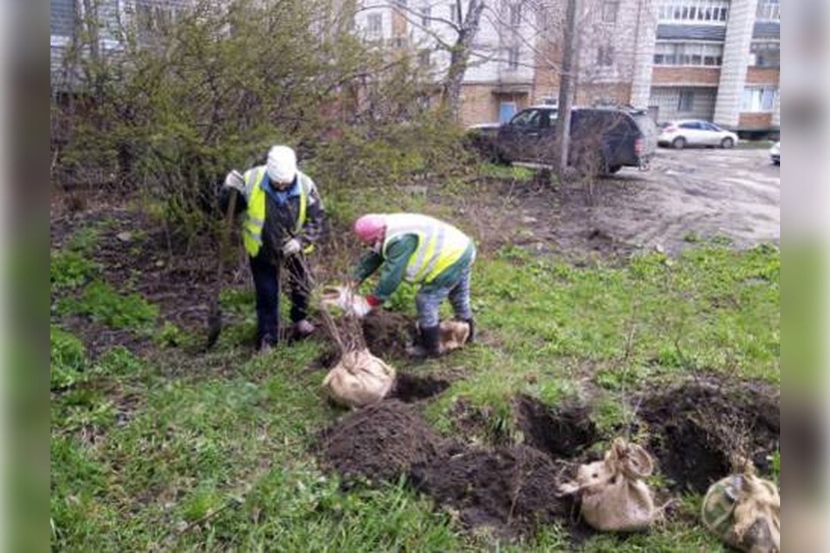    Фото: Администрация города Ульяновск, источник: ulmeria.gosuslugi.ru