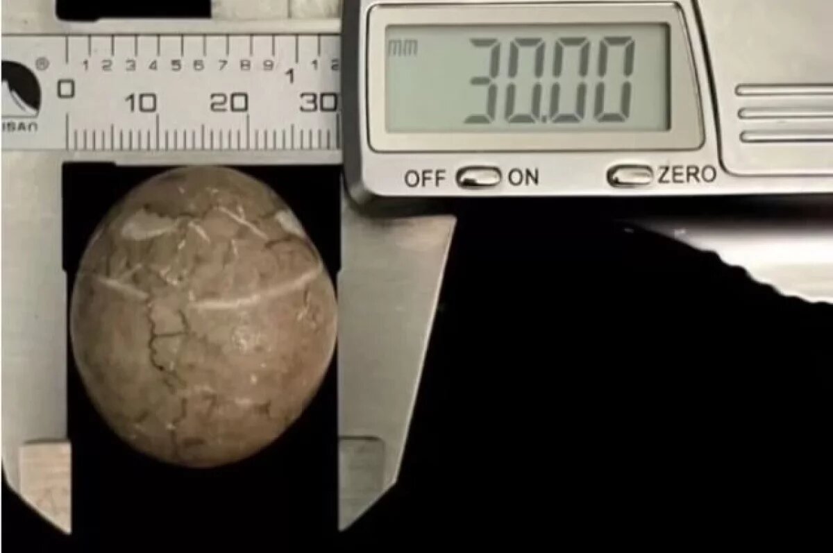    В Симферополе выставлен на продажу обломок метеорита за 3 млн рублей