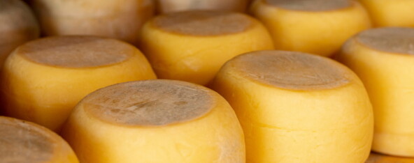 Сыр качотта