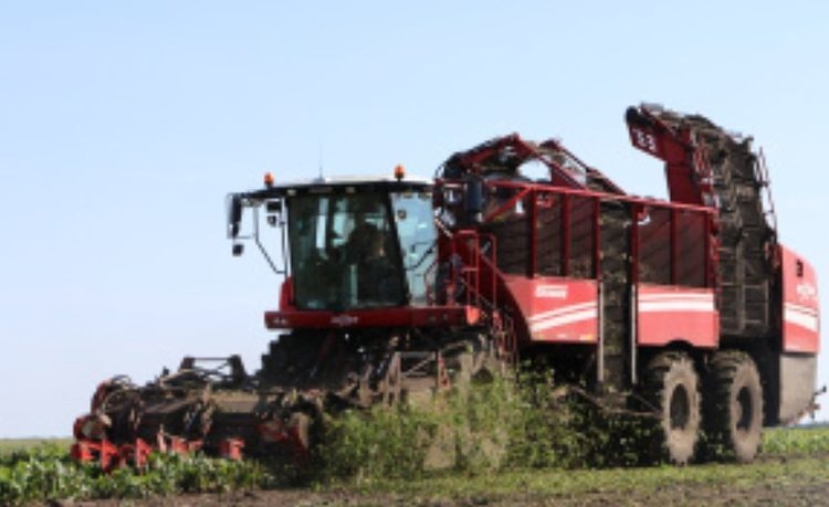    Фото: Минсельхоз Липецкой области