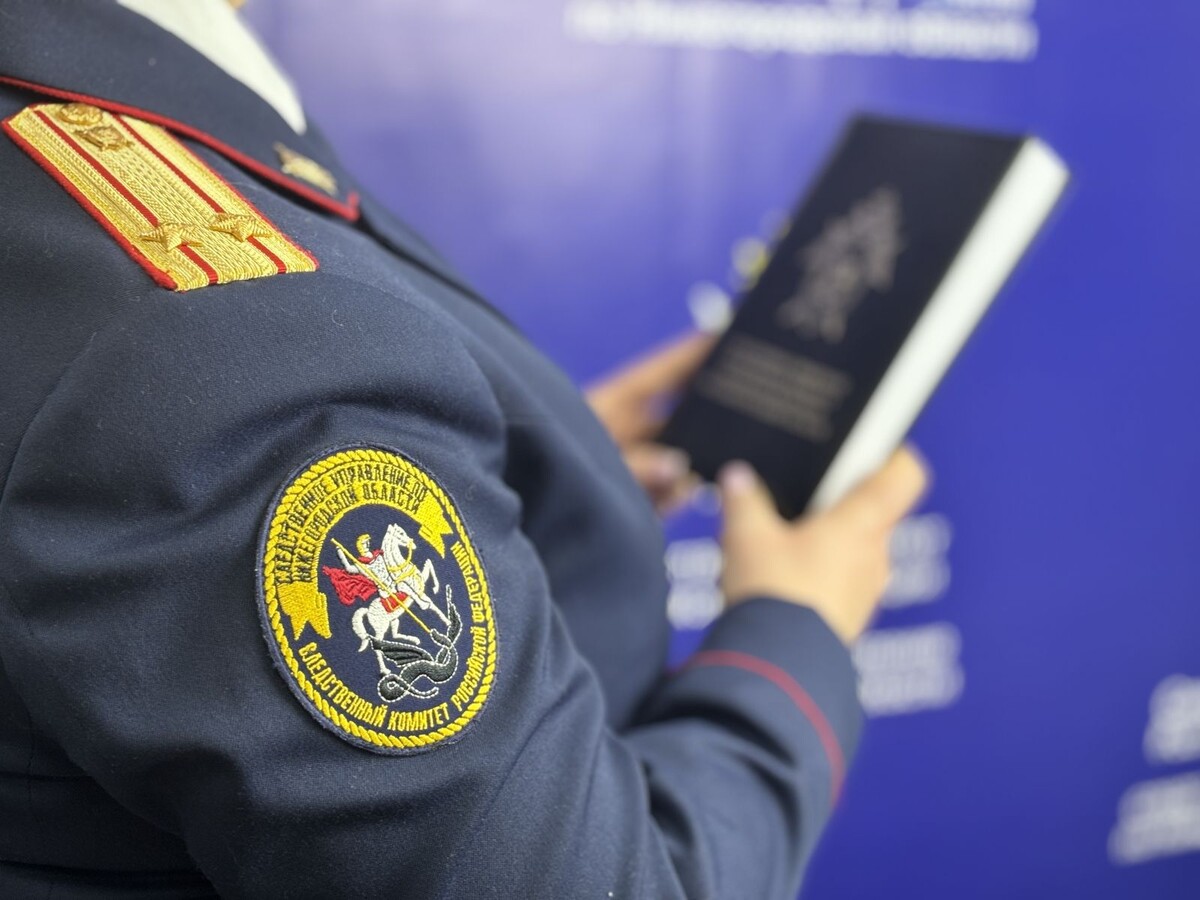     / Источник: © Следственное управление Следственного комитета Российской Федерации по Нижегородской области