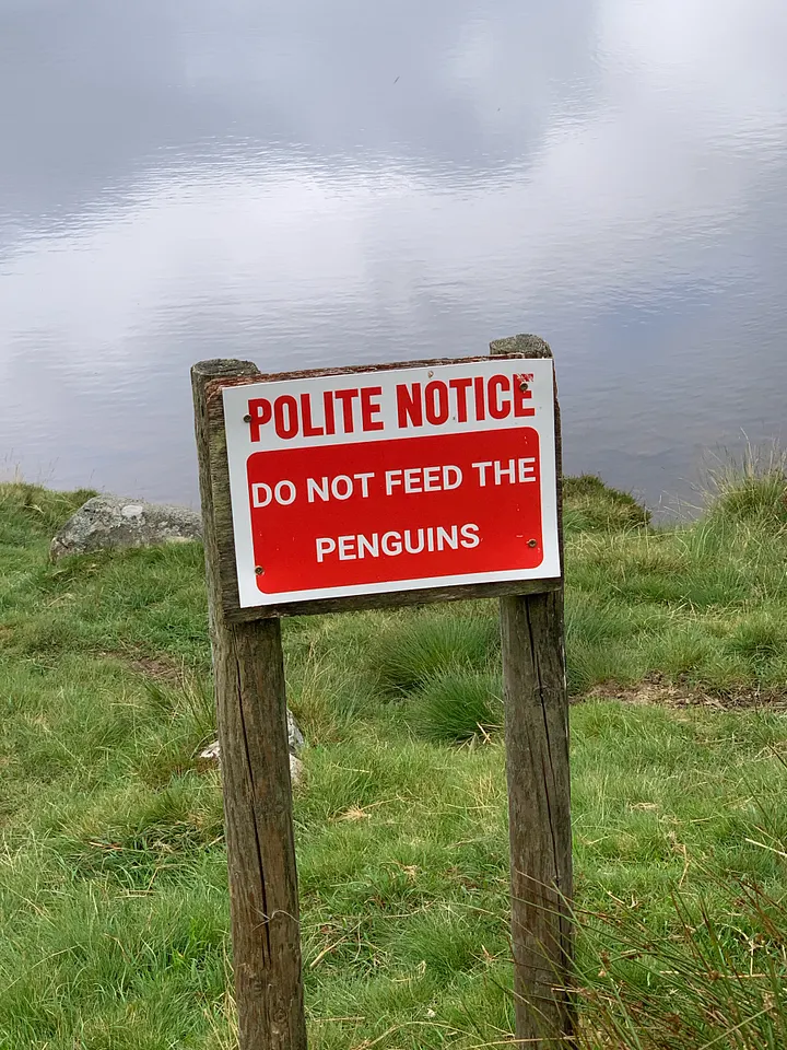 «Вежливое предупреждение» на удалённом озере в Северном Уэльсе