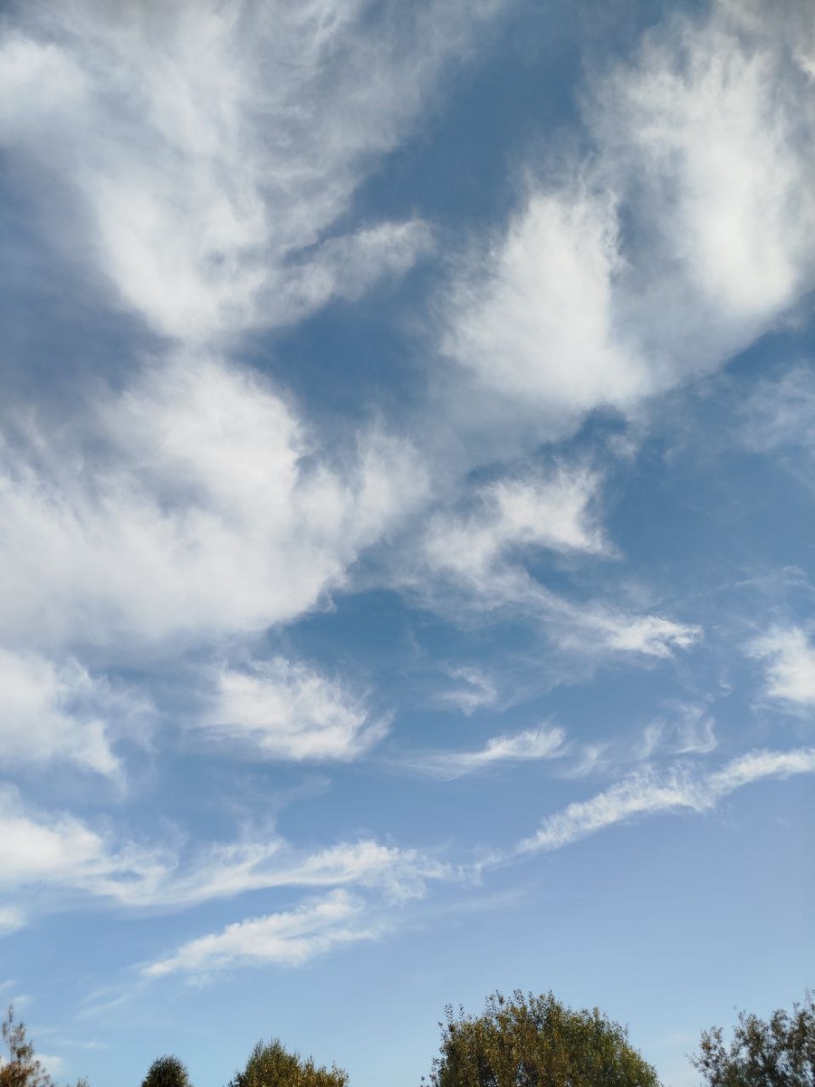Облака напоминают стаю птиц