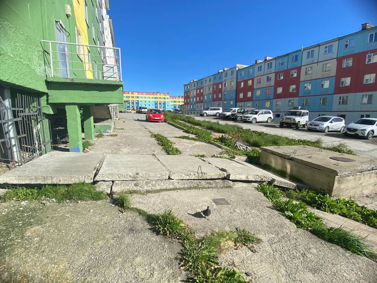 Трава в сентябре в Анадыре. Фото: Администрация ГО Анадырь