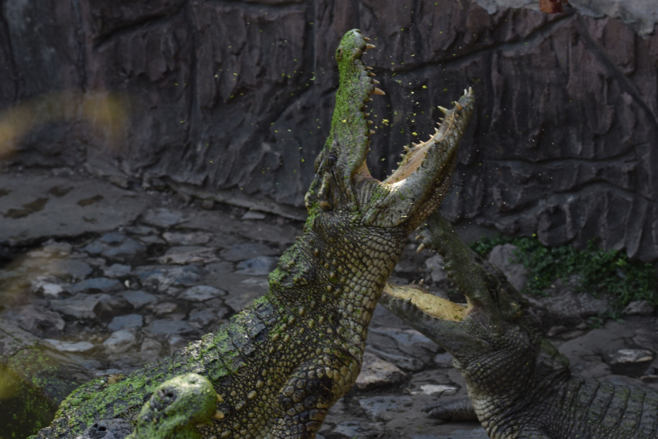    Teera Noisakran/Keystone Press Agency/Global Look Press