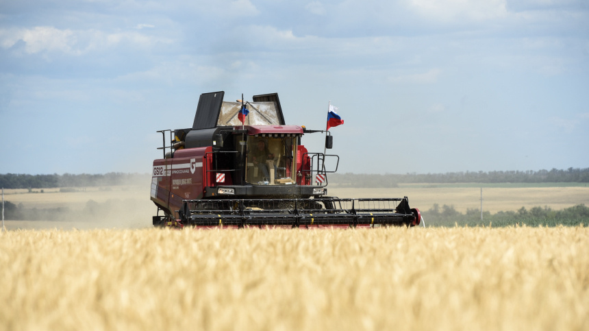    Фото: © РИА Новости/Таисия Воронцова; 5-tv.ru