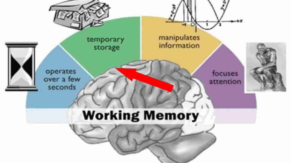    Как Сталин запоминал всё и сразу – секреты феноменальной памяти, которые удивят вас