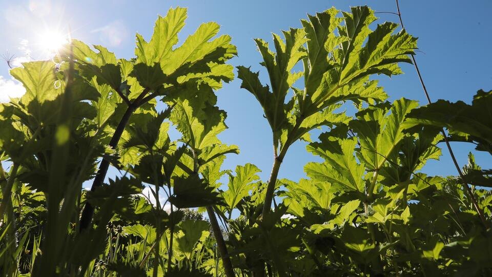 Фото / Видео: © РИА Новости/Виталий Белоусов