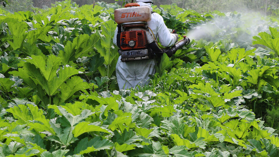 Фото: © РИА Новости/Пресс-служба ГБУ МО "Мосавтодор"