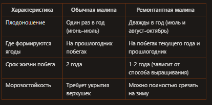 Цикл плодоношения малины