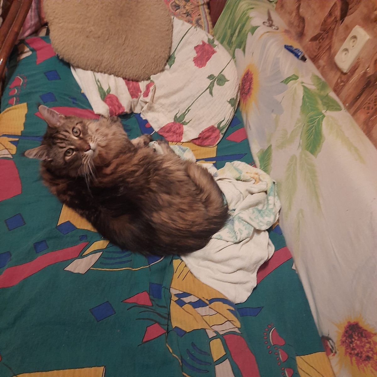 Ты что пришла то? Давай , до свидания! Места заняты согласно купленным билетам)