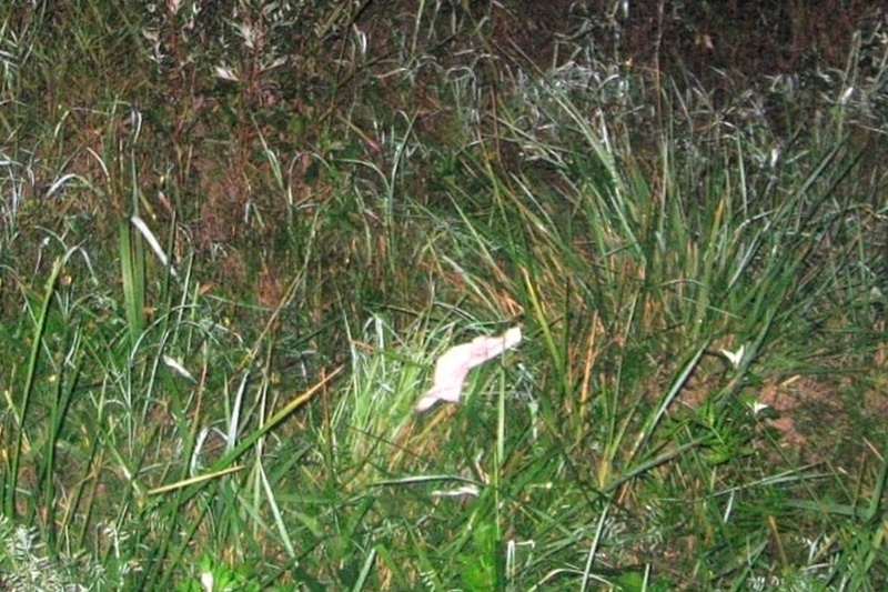    Прохожего с признаками наркотического опьянения полицейские заметили в Заречье.