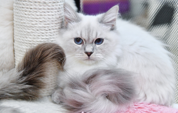 Фото: РИА Новости