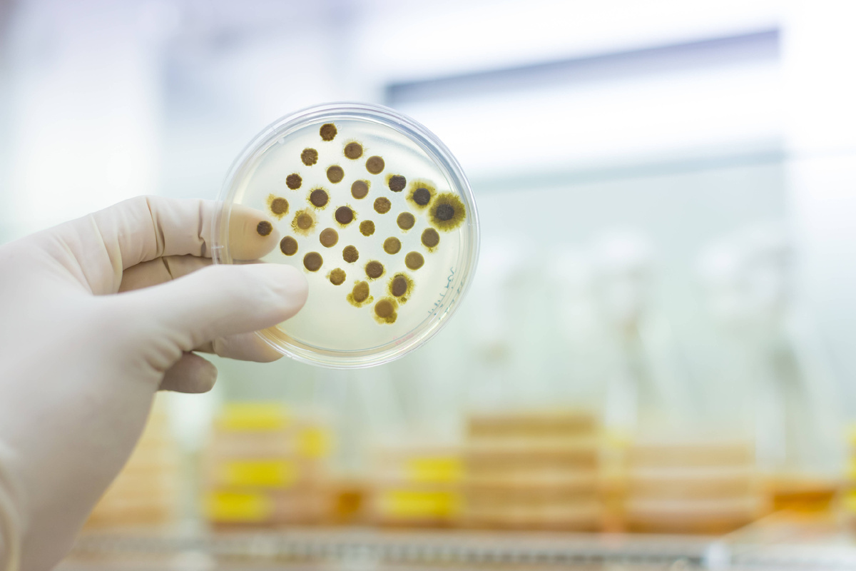 Фото: © IMAGO/Zoonar.com/Matej Kastelic/ www.imago-images.de/ Global Look Press