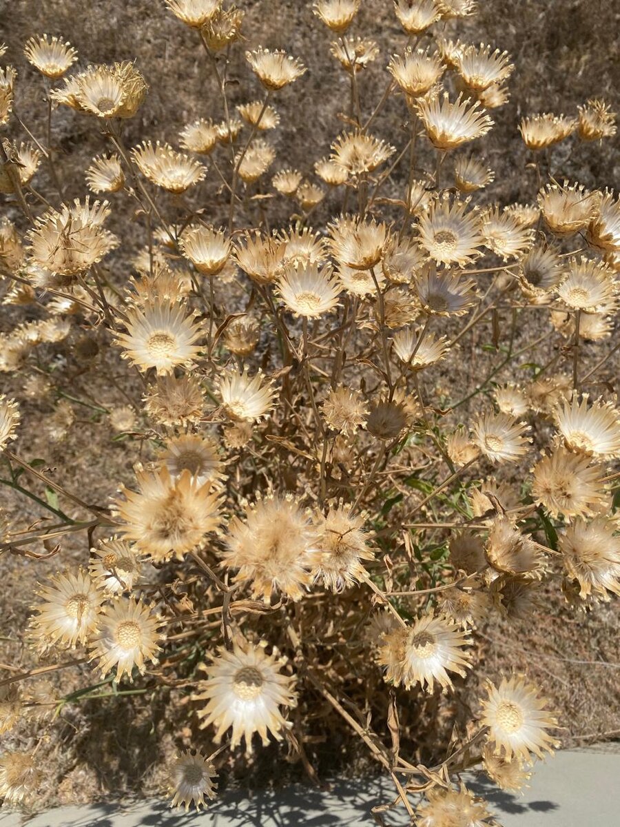 фото автора канала