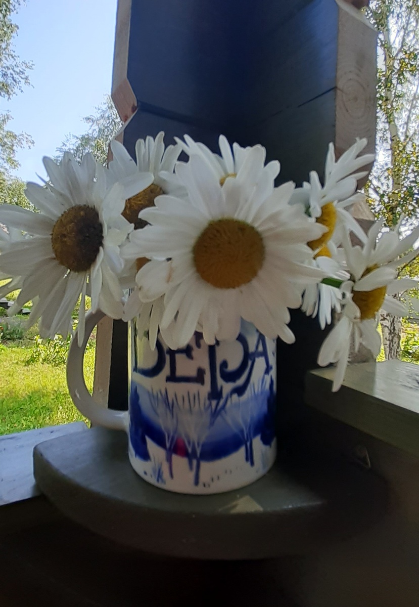 Дачное лето пронеслось ...