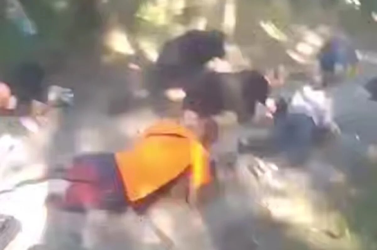    В сети появились кадры с издевательствами над мобилизованными в учебке ВСУ