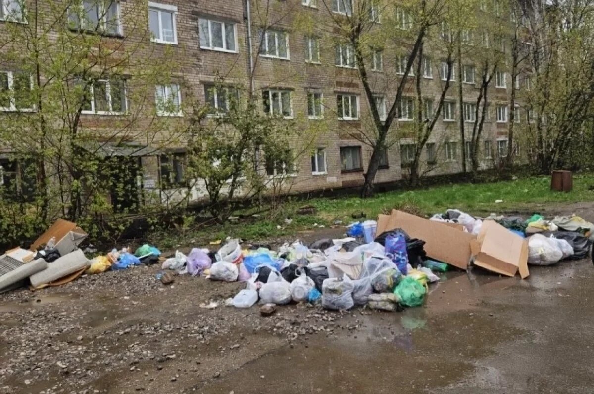    В Карелии предлагают штрафовать за мусор вокруг контейнерных площадок