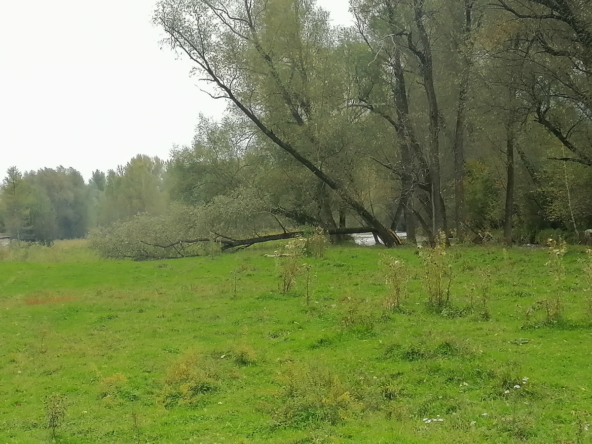Последствия вчерашнего разгула стихии.