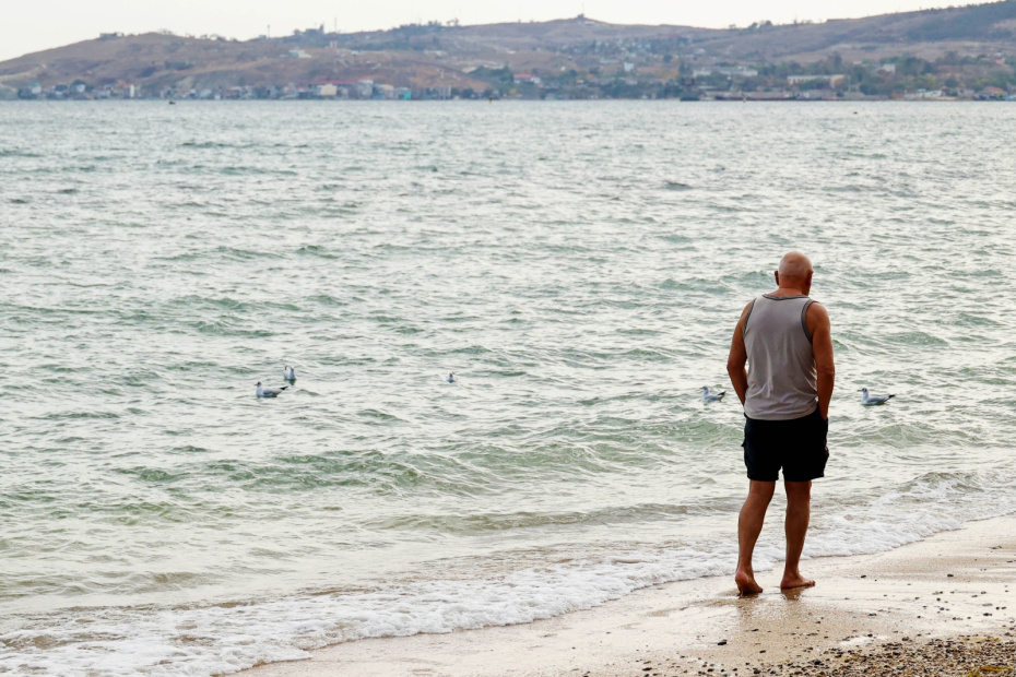    Сергей Петров/NEWS.ru