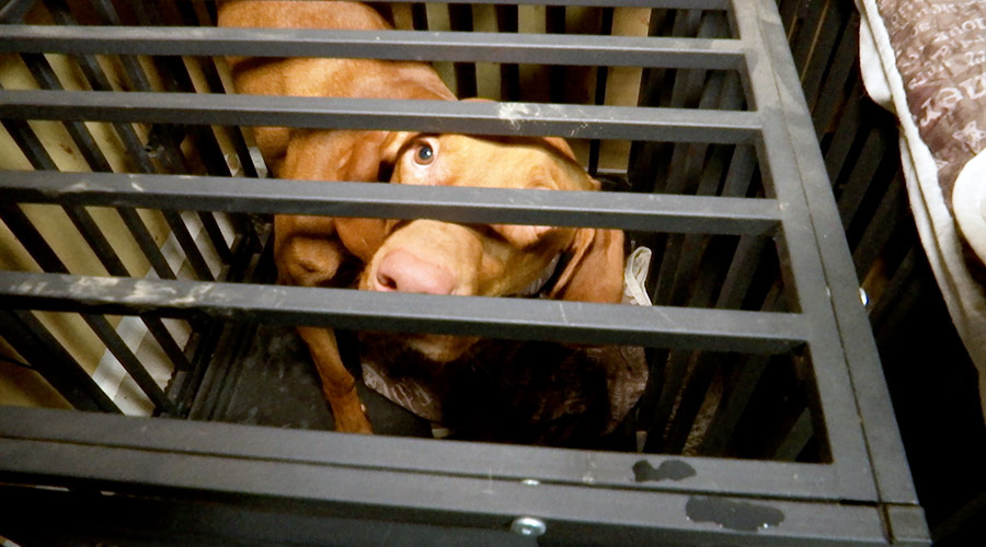    © АО "ТВ Центр"