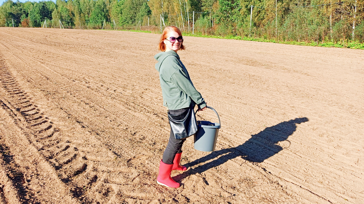 Поле осенью мне нравится больше, чем весной)