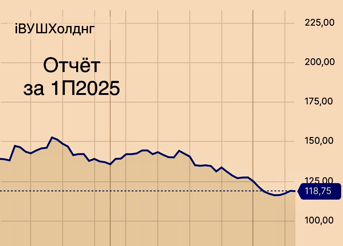 ВУШ Холдинг отчетность за 1 полугодие 2025 года: Глубокий анализ кризиса