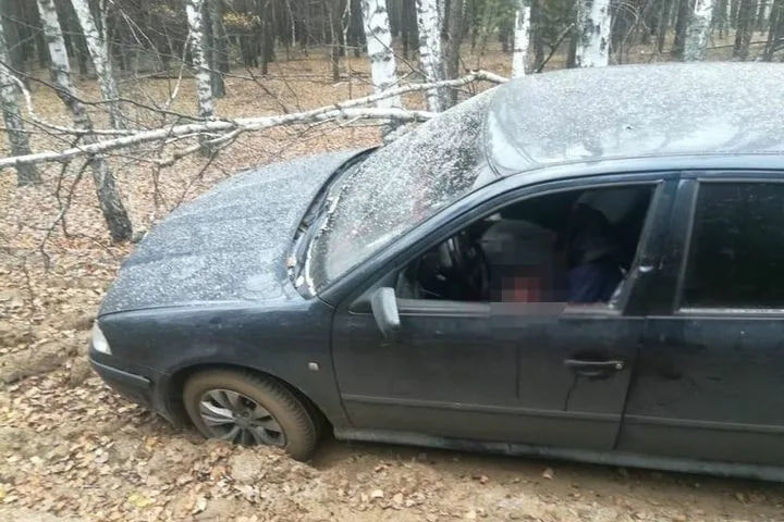     Фото: очевидец