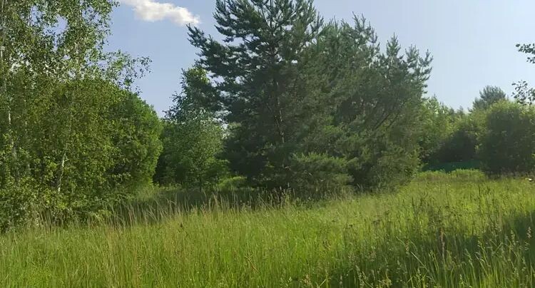    Участок с торгов в Коломне / Единый портал торгов Московской области ЕАСУЗ