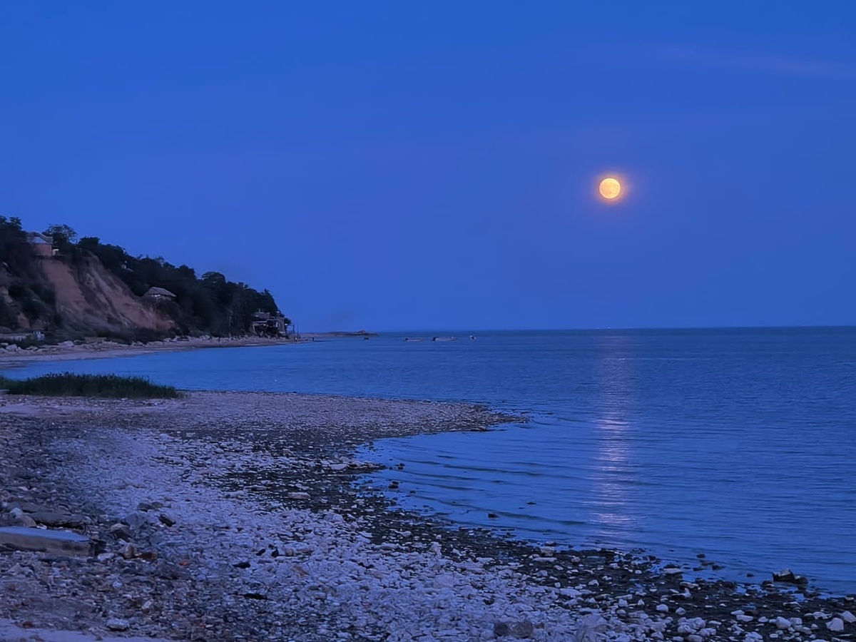 Фото Светы Алёхиной