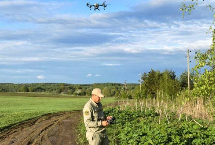    Фото: Правительство Ярославской области
