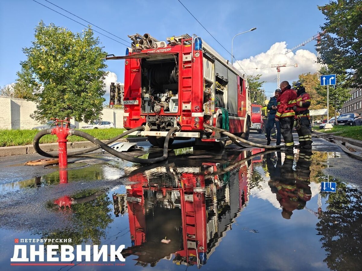 Фото: Александр Семенов / «Петербургский дневник»